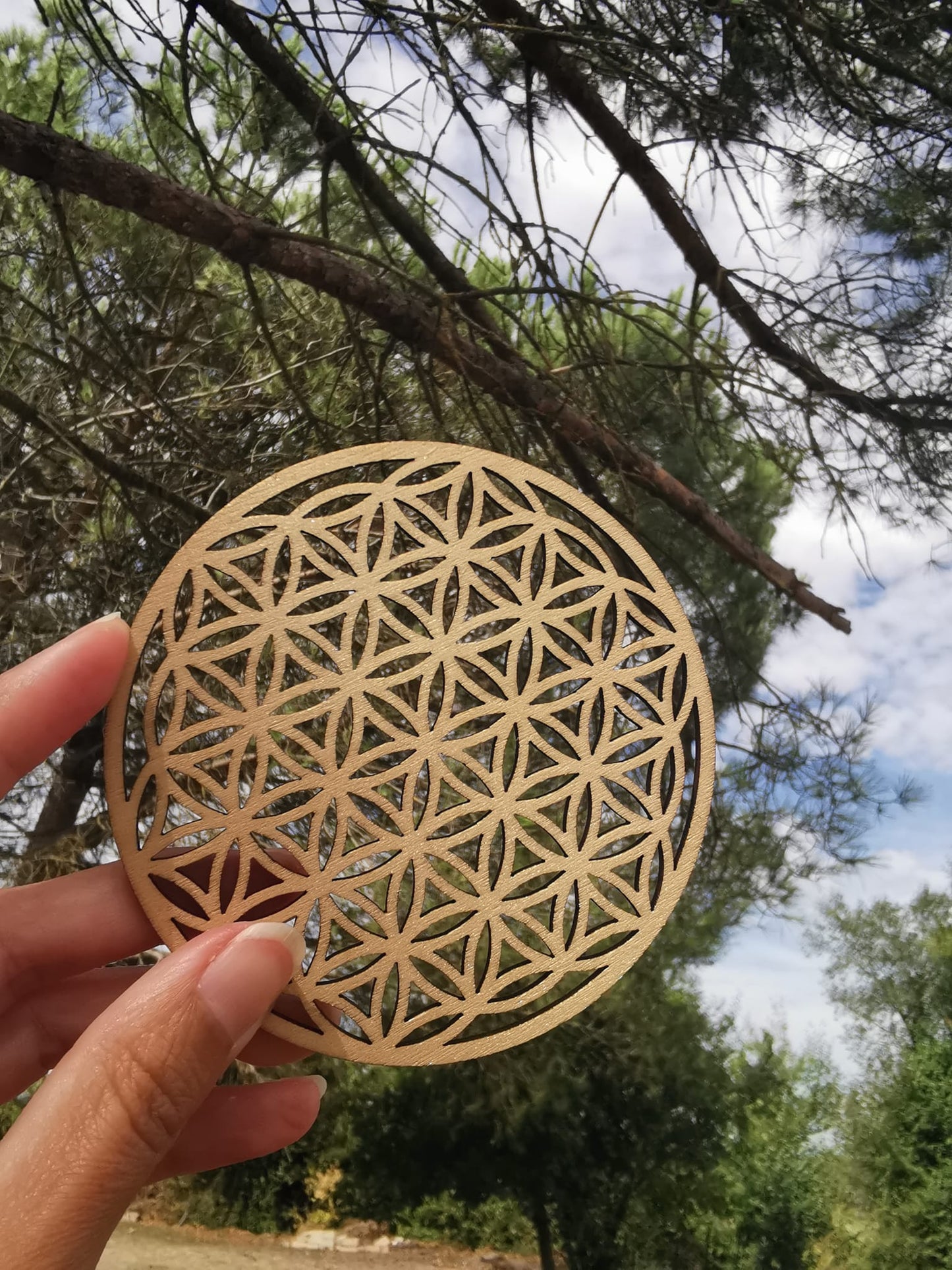 Fleur de vie en bois