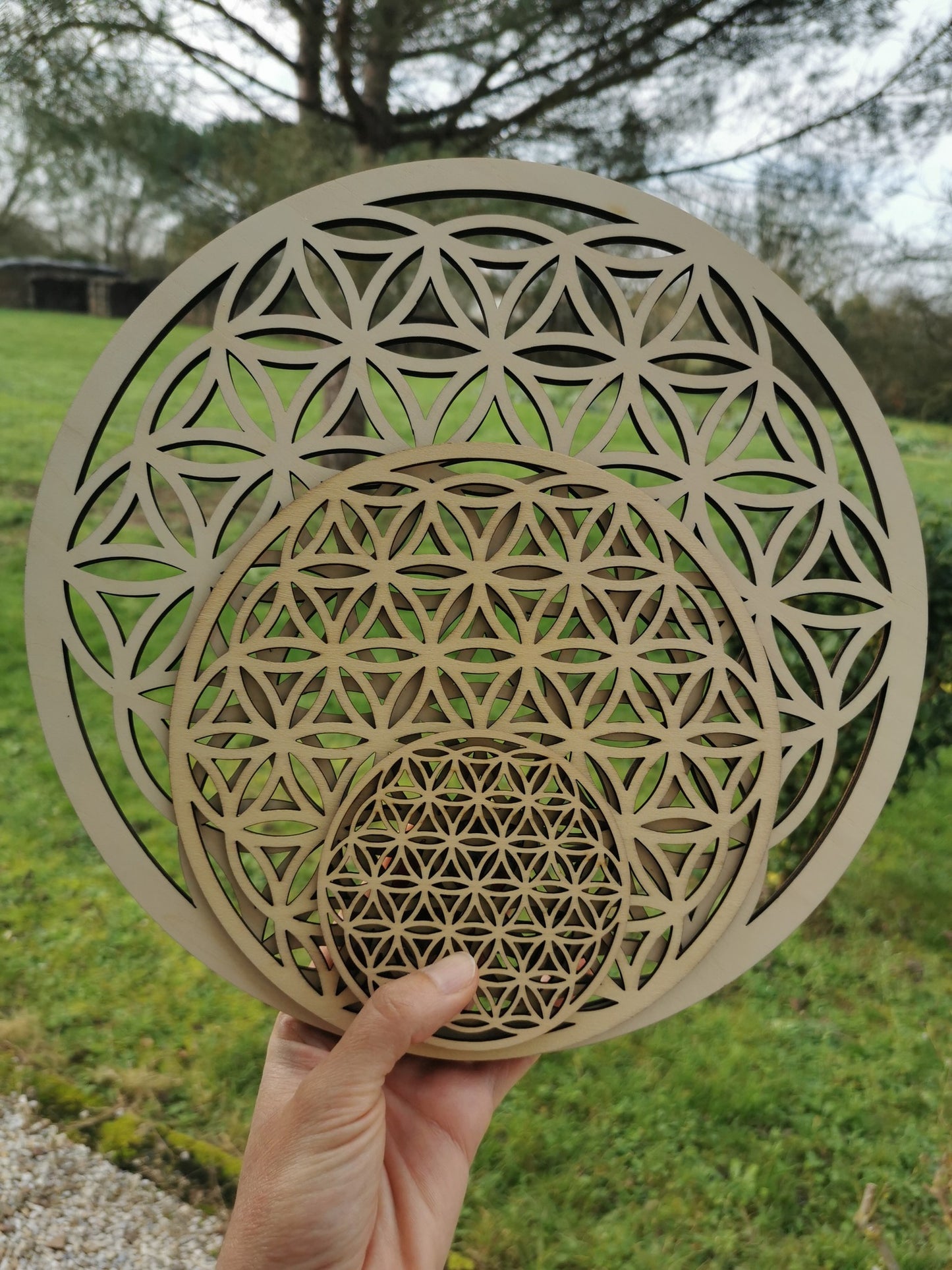 Fleur de vie en bois